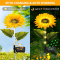 129813969-1